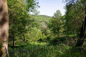 Photo 98- click for photo gallery